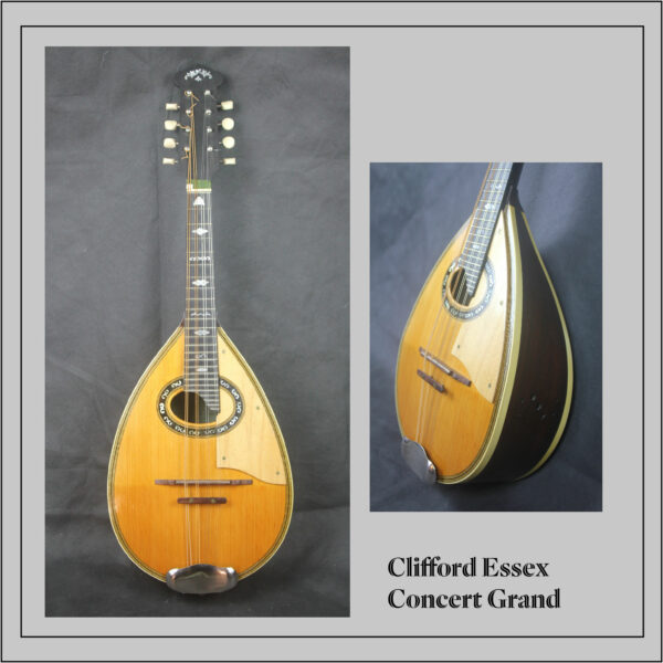 Clifford Essex Concert Grand Mandolin - Image 2