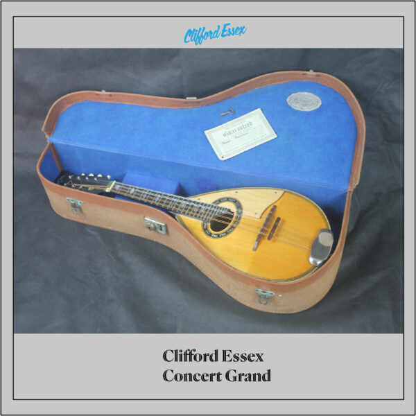 Clifford Essex Concert Grand Mandolin - Image 8