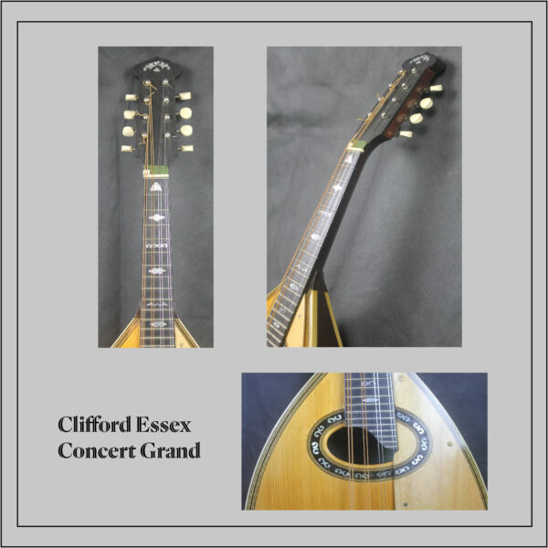 Clifford Essex Concert Grand Mandolin - Image 3