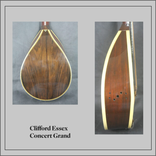 Clifford Essex Concert Grand Mandolin - Image 5