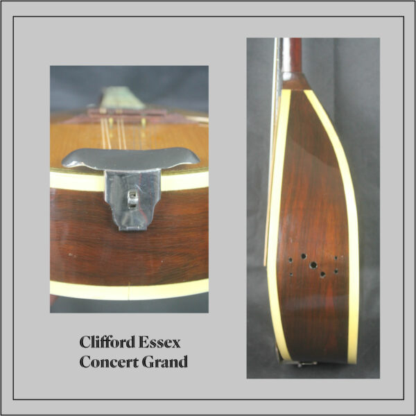 Clifford Essex Concert Grand Mandolin - Image 4