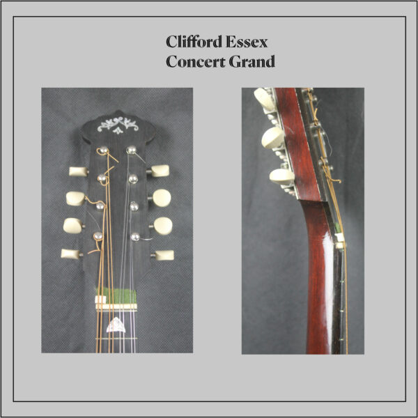 Clifford Essex Concert Grand Mandolin - Image 7